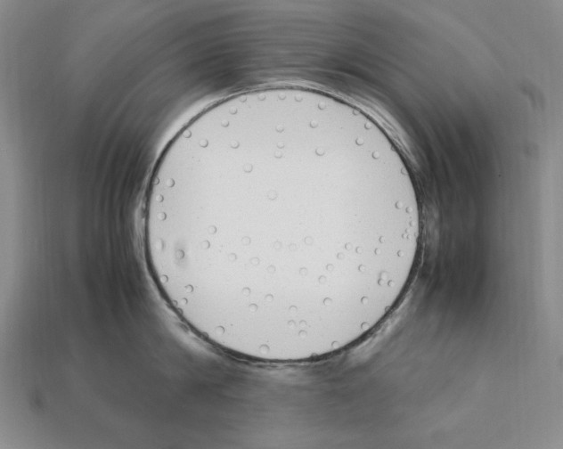 X0000112040814200909141116