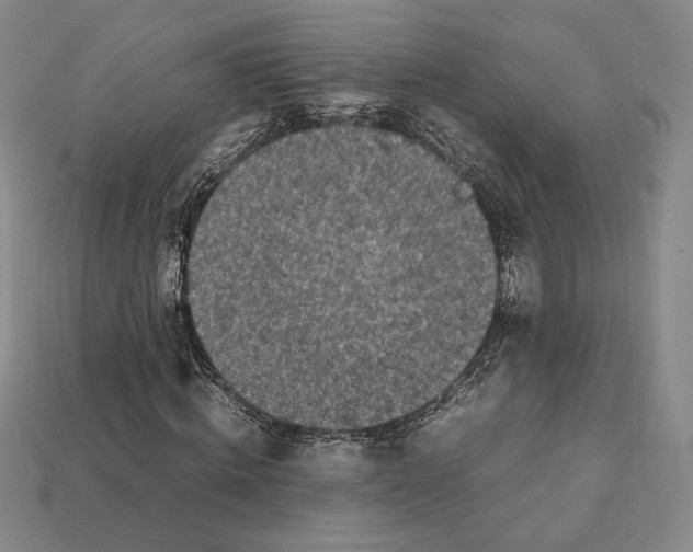 X0000112040820200909141115