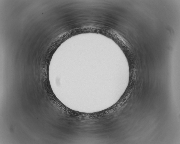X0000112040821200909141115