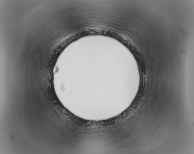 X0000112040822200909141115