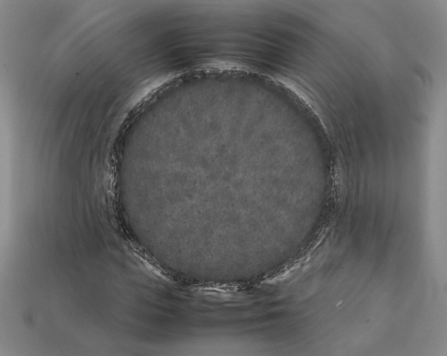 X0000112040823200909141115