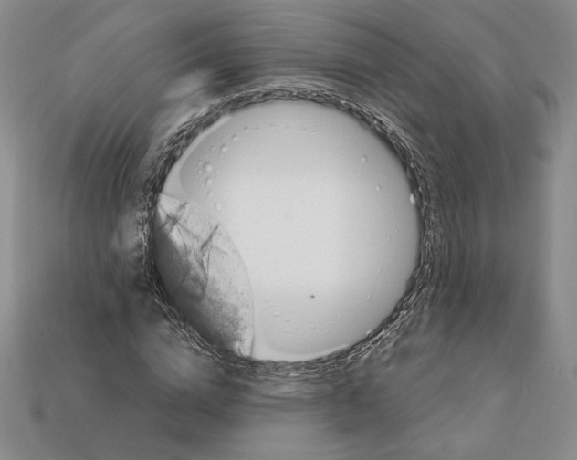 X0000112040824200909141115