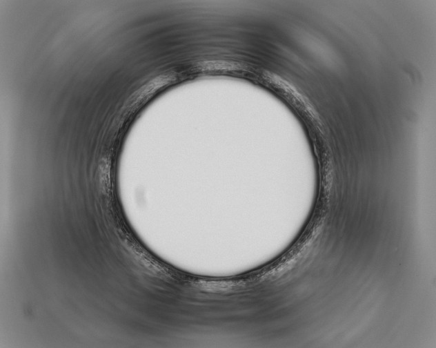 X0000112040825200909141115