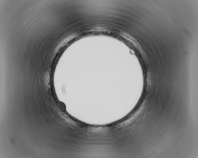 X0000112040826200909141115