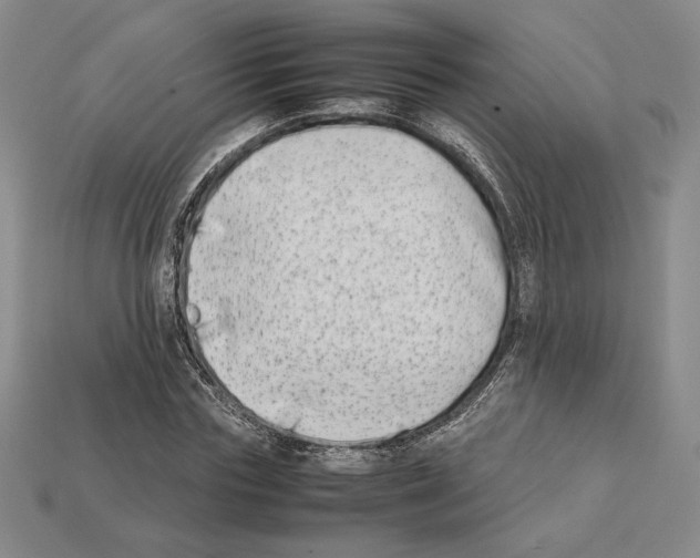 X0000112040827200909141115