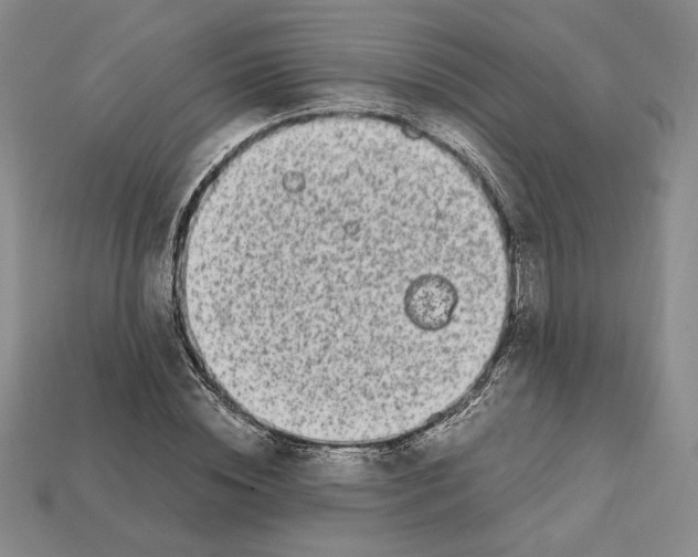 X0000112040828200909141115