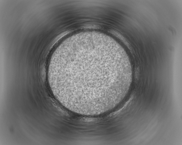 X0000112040829200909141115