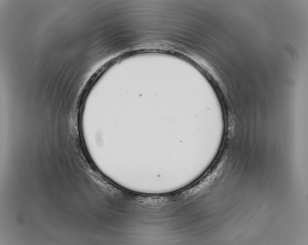 X0000112040830200909141115