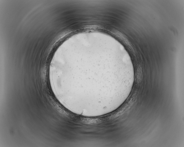 X0000112040831200909141115