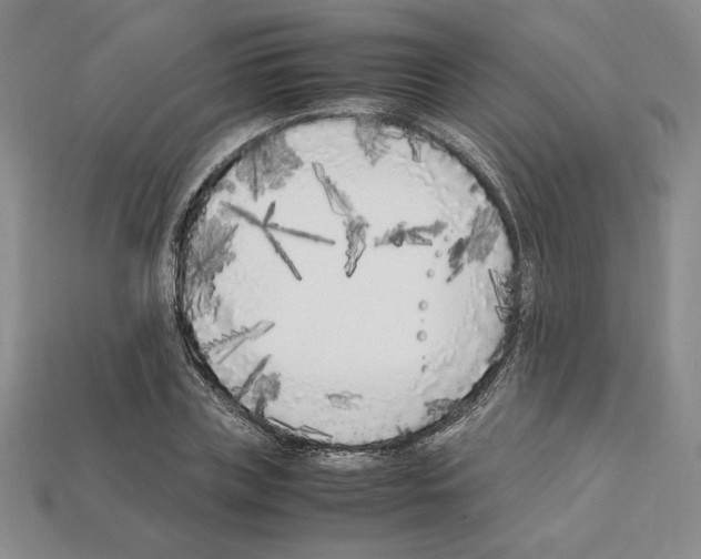 X0000112040835200909141115