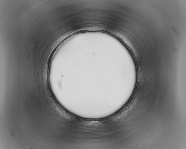 X0000112040837200909141115