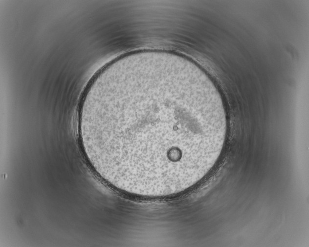 X0000112040838200909141115