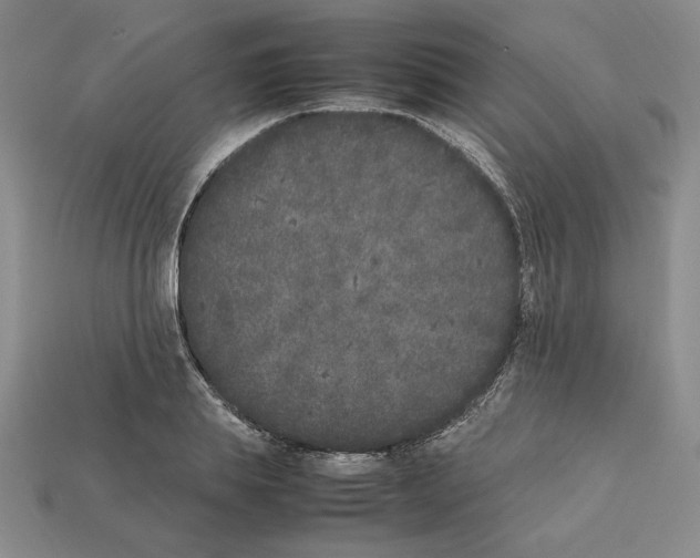 X0000112040839200909141115