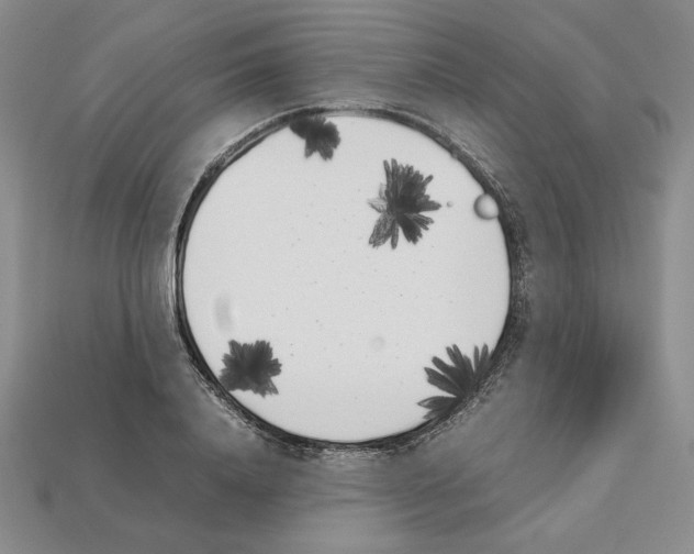 X0000112040840200909141115