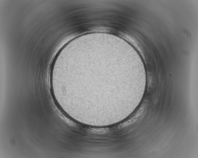 X0000112040843200909141115