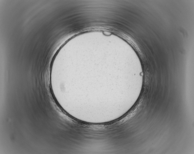 X0000112040844200909141116