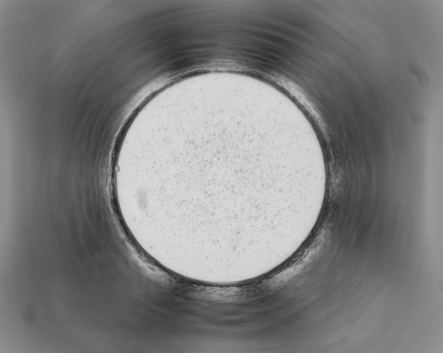X0000112040845200909141116