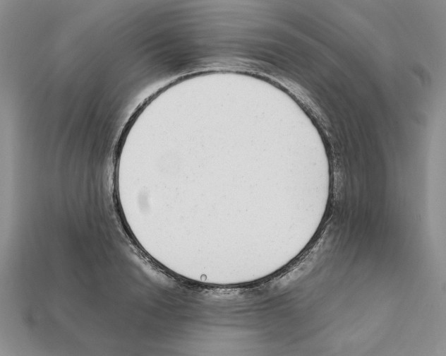 X0000112040846200909141116