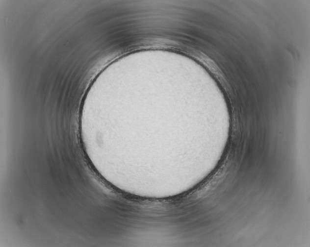 X0000112040850200909141116