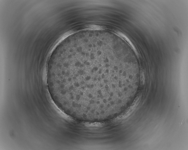 X0000112040851200909141116