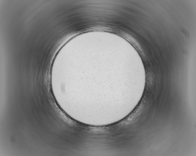 X0000112040852200909141116