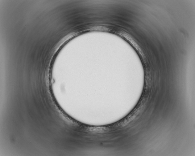 X0000112040853200909141116