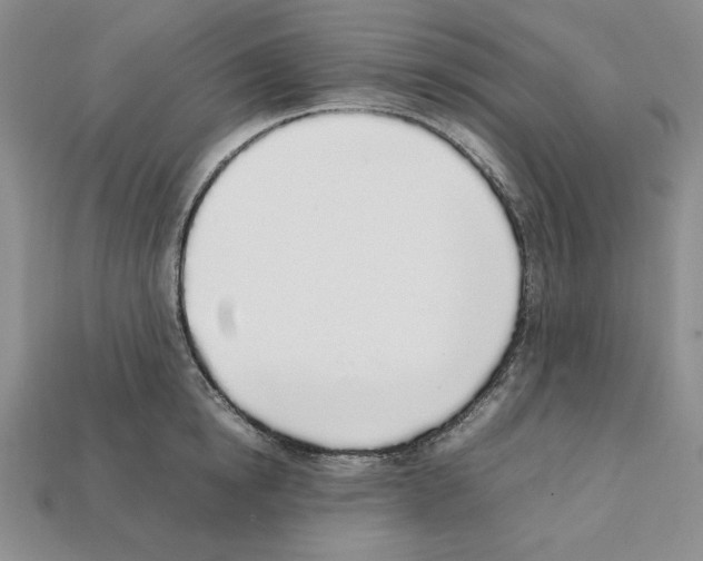 X0000112040854200909141116