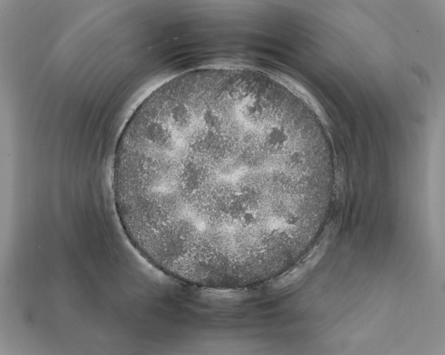 X0000112040855200909141116