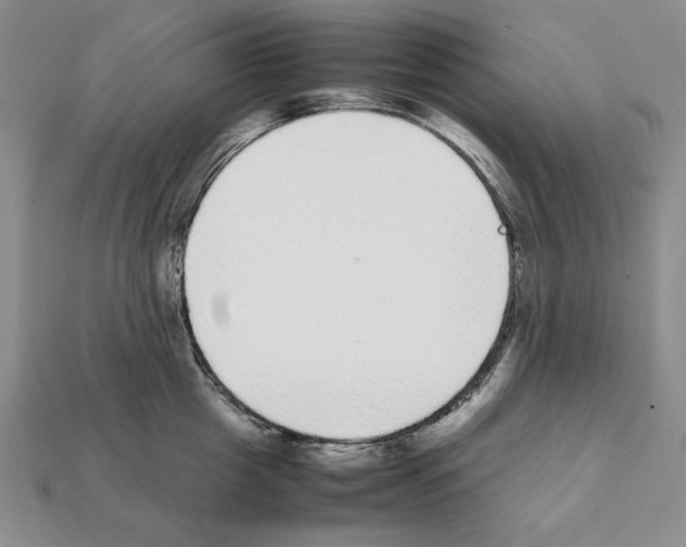 X0000112040857200909141116