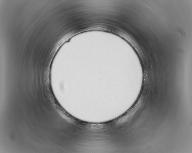 X0000112040858200909141116