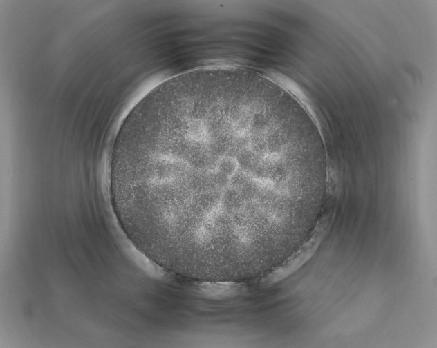 X0000112040859200909141116