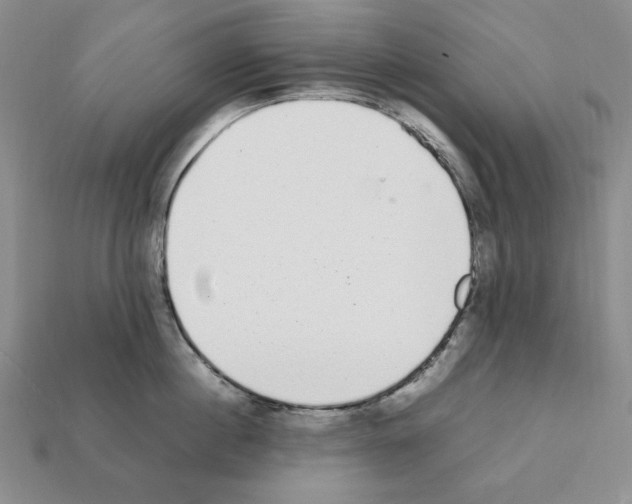 X0000112040860200909141116