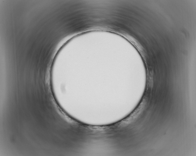 X0000112040862200909141116