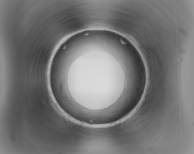 X0000112040864200909141116