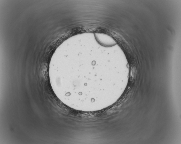 X0000112040867200909141115