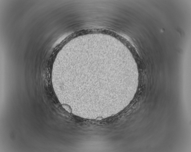 X0000112040871200909141115