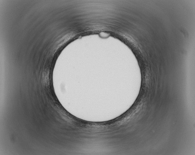 X0000112040873200909141115