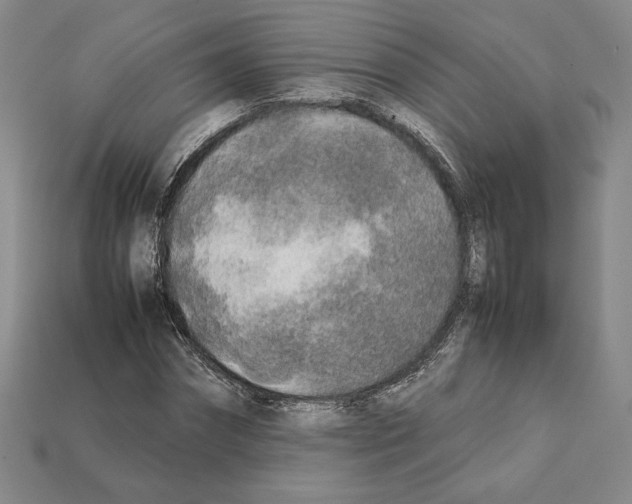 X0000112040874200909141115