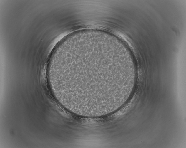 X0000112040875200909141115