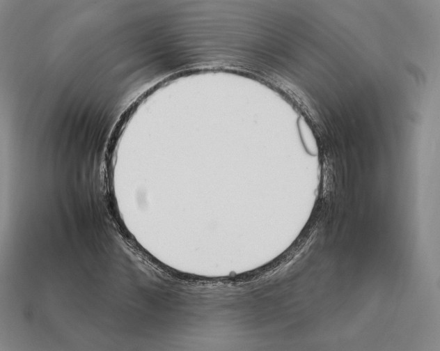 X0000112040876200909141115