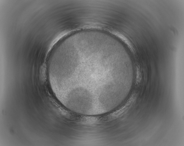 X0000112040878200909141115
