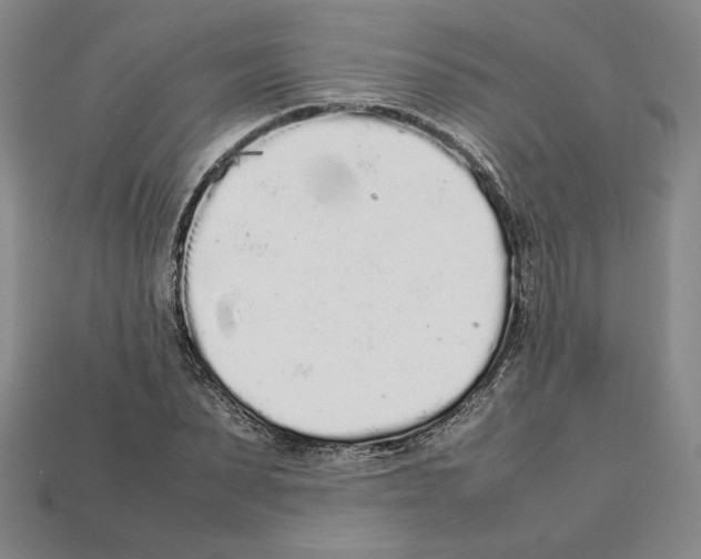 X0000112040879200909141115
