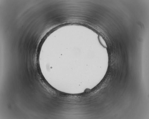 X0000112040880200909141115