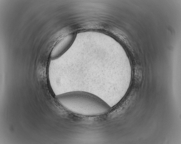 X0000112040881200909141115
