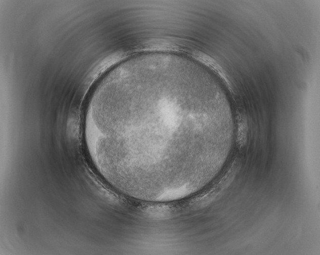 X0000112040882200909141115