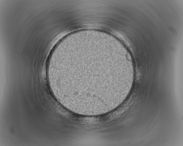 X0000112040883200909141115