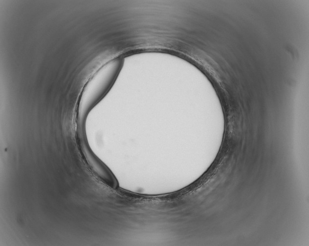 X0000112040885200909141115
