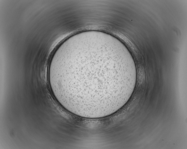 X0000112040886200909141115
