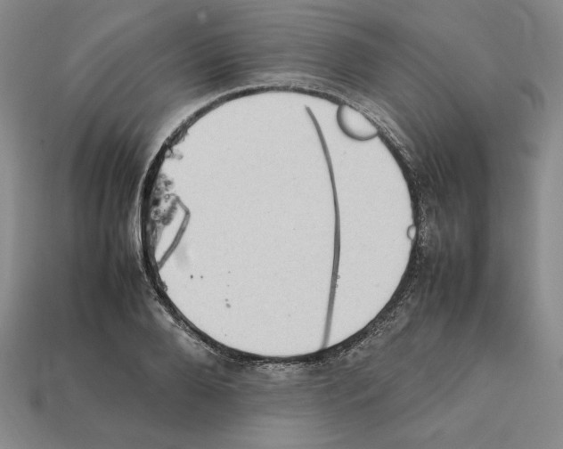 X0000112040888200909141115