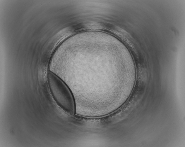 X0000112040889200909141115